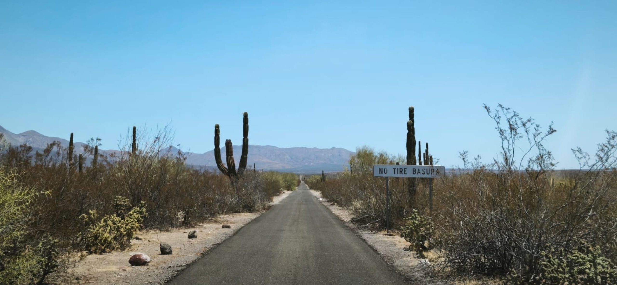 Desert road through cactus and scrubland in a geothermal exploration area